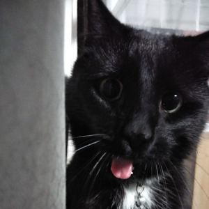 Meet your Posher, Wyatt